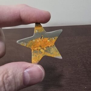 Bumblebee Jasper Crystal Star 9 grams